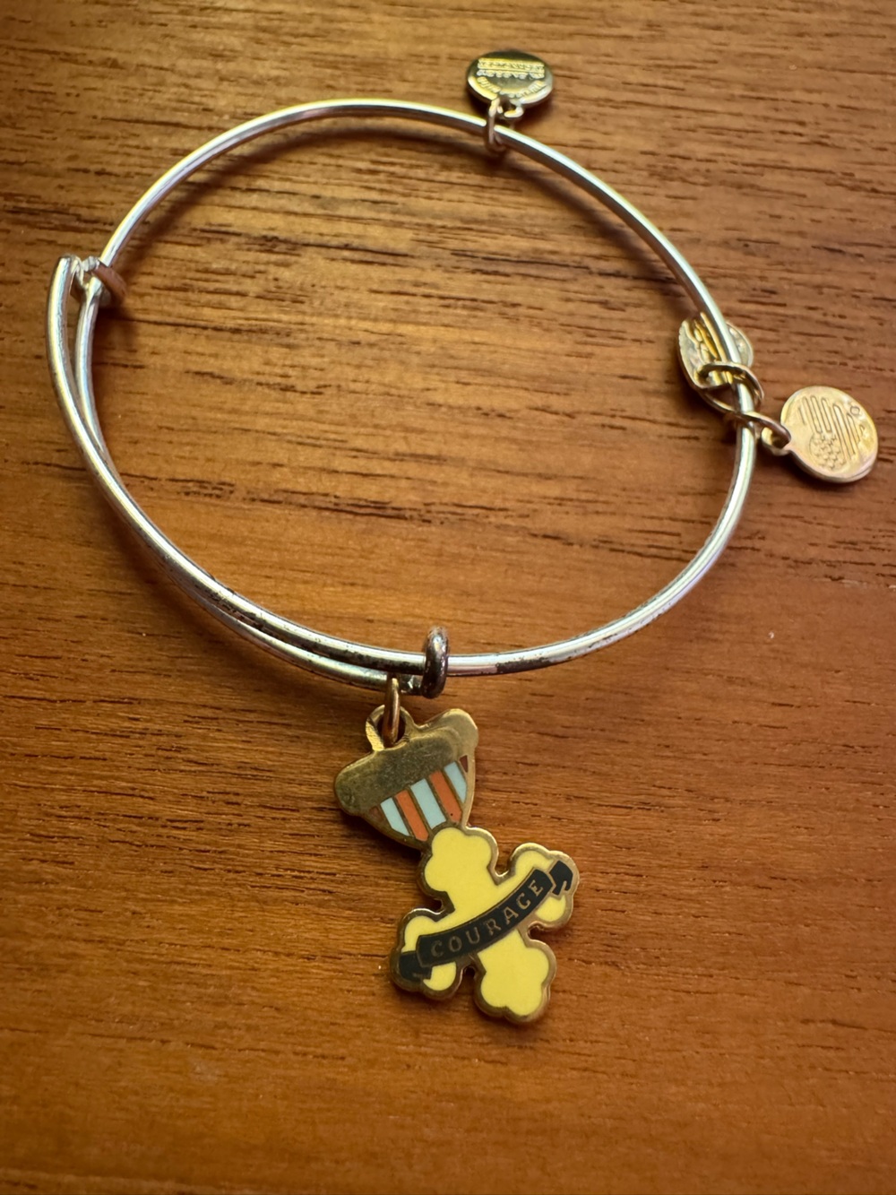 Alex and Ani wizard of oz courage charm bracelet